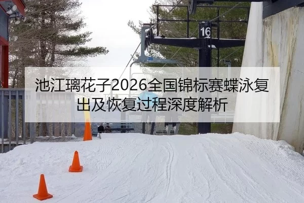 池江璃花子2026全国锦标赛蝶泳复出及恢复过程深度解析